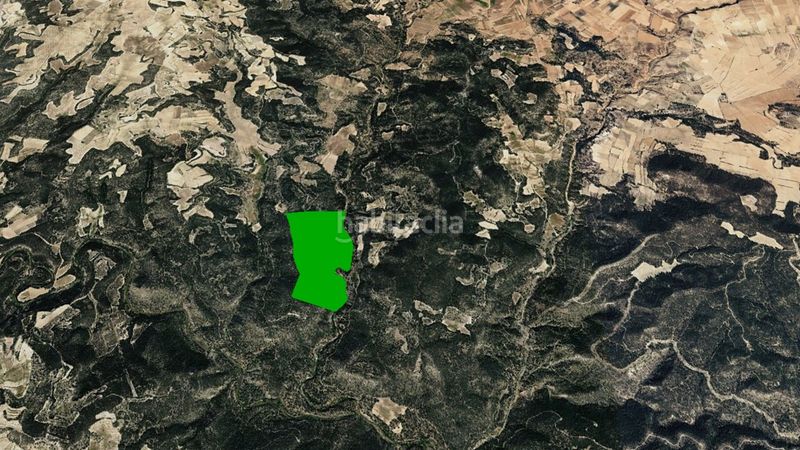 Foto 3a8806b2-4c51-4b61-a65d-c173f21409e3. Finca rústica a Requena