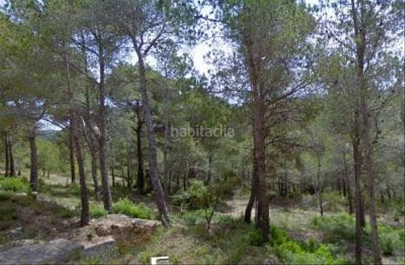 Foto d08af2f7-8ab0-4565-85d9-23ec8b8b1c35. Finca rústica a Montmell (El)
