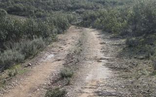 Finca rústica  P/ poligono. Solvia inmobiliaria  suelo otros sevilleja de la jara