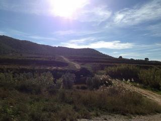 Finca rústica  Partida fuente del pino, poligono 8 00014. Solvia inmobiliaria  suelo otros monóvarmonòver