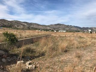 Finca rústica  Cl jose forcada peris nº 21. Solvia inmobiliaria  suelo otros castellón de la planacastelló d