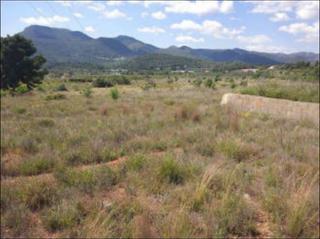 Finca rústica  Partida bovalar poligono 6 01036. Solvia inmobiliaria  suelo otros estivella