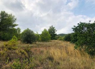 Finca rústica  Pj bovalar 124. Solvia inmobiliaria  suelo otros estivella