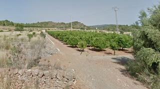 Finca rústica  Camí bovalar. Solvia inmobiliaria  suelo otros estivella