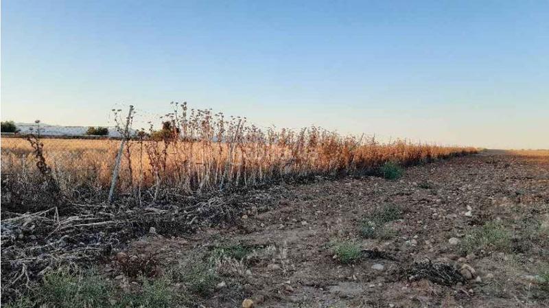 Foto 586ecba8-25c3-4808-ae66-afc6904515e5. Finca rústica a Lucillos