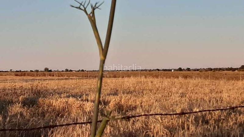 Foto b8d259f0-a262-4304-8d68-0efdc34533ac. Finca rústica a Lucillos