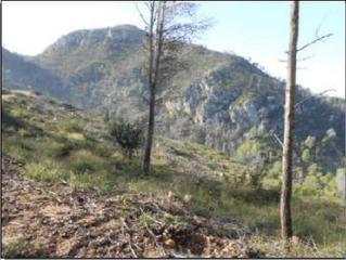 Finca rústica  Cl partida el collado. Solvia inmobiliaria  terreno con edificación aielo de rugat