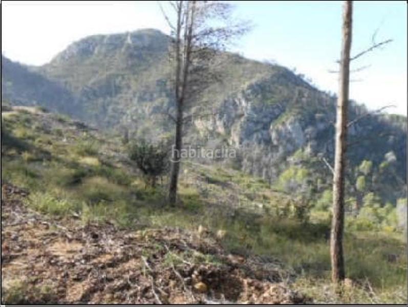 Foto b79f2844-bc73-460b-bf51-8166b91fa77b. Finca rústica solvia inmobiliaria terreno con edificación en Aielo De Rugat