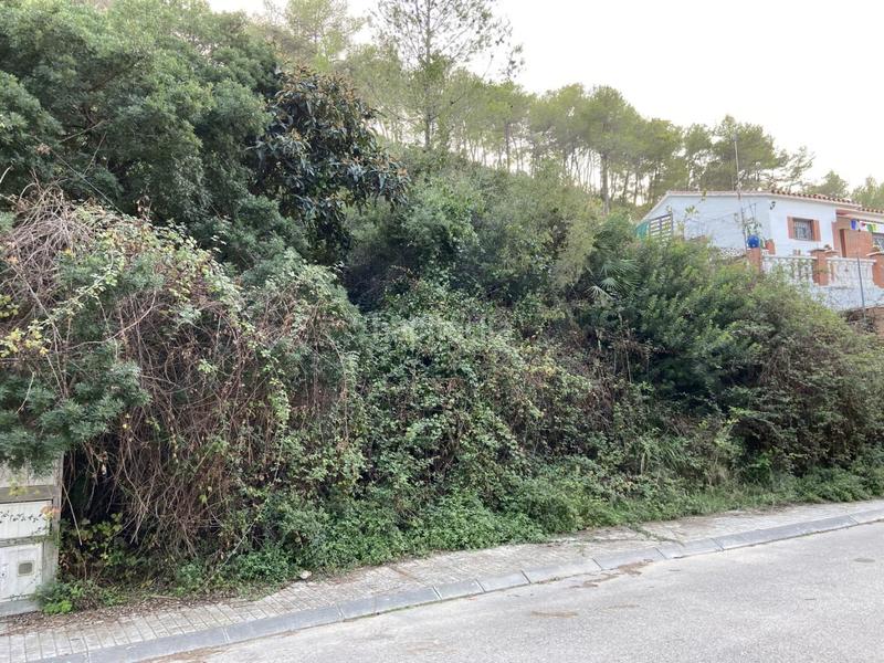 Foto 10fbc0b6-695a-4683-8c49-e8ad3bd81e12. Fondo rustico in Can Lloses - Can Marcer Sant Pere de Ribes