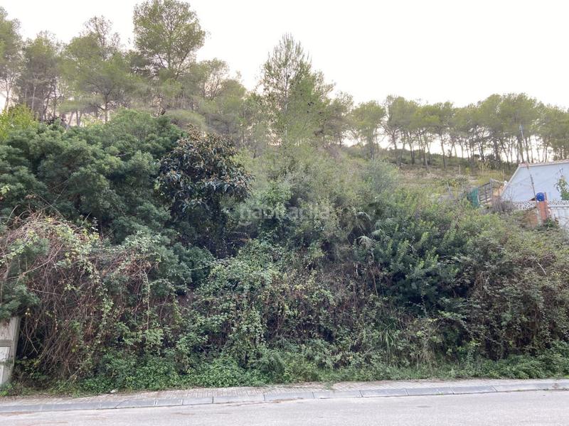 Foto 41770566-7b1a-4210-848b-bafd9c350b83. Fondo rustico in Can Lloses - Can Marcer Sant Pere de Ribes