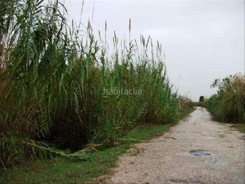 Foto 1e7a70dd-d5c0-4577-b7e1-fb93c46357fc. Finca rústica solvia inmobiliaria suelo otros en Cullera