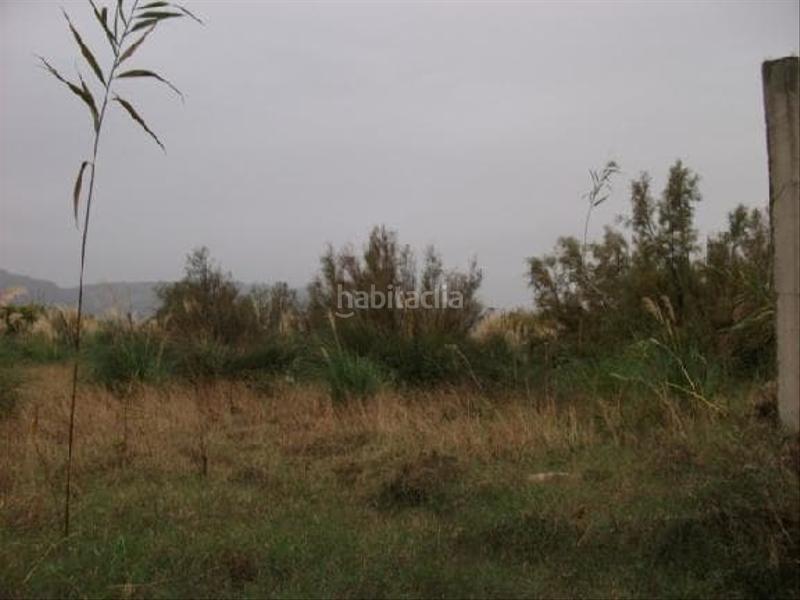 Foto 5e7c70d5-f00e-46c8-9978-fd77c5fac996. Finca rústica solvia inmobiliaria suelo otros en Cullera