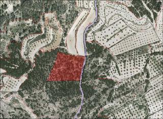 Finca rústica  Paraje los hermanillos nº .. Solvia inmobiliaria  suelo otros requena