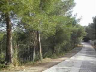 Landgut  Cl mirador nº 28-30-par.. Solvia inmobiliaria  suelo otros canyelles