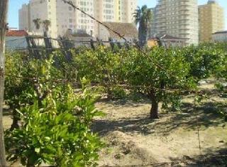 Propriété  Cl partida platja del rei nº 94. Solvia inmobiliaria  suelo otros sueca