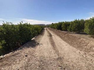 Finca rústica  Parcela              p.i. cabecicos blancos 06-67. Solvia inmobiliaria  suelo otros librilla
