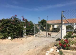 Finca rústica  Parcela              p.i. cabecicos blancos 06-22. Solvia inmobiliaria  suelo otros librilla