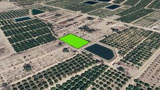 Fondo rustico  Pr. el boticario. Solvia inmobiliaria  suelo rústico librilla