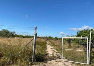 Finca rústica  Av p.i. cabecicos blancos 06-75. Solvia inmobiliaria  suelo otros librilla