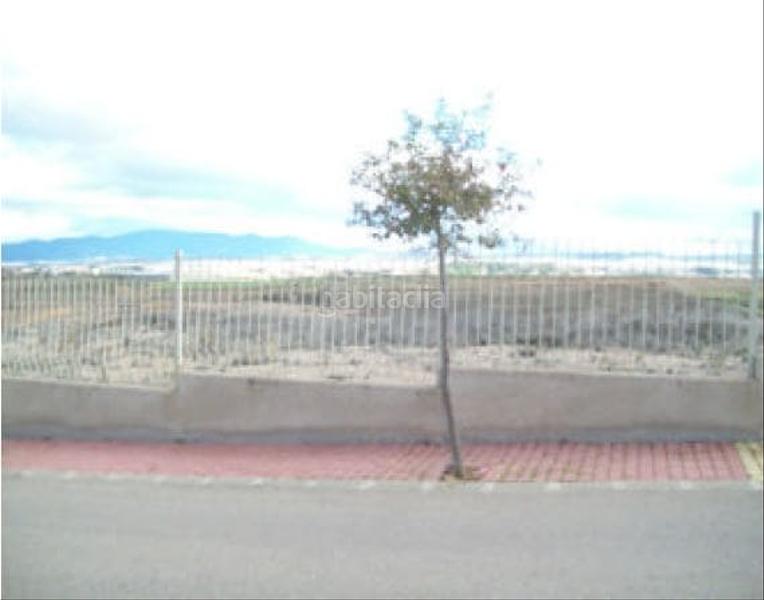 Foto 33e4a1a4-6b66-4e90-9a65-0480b3c024f2. Fondo rustico in Consolación Calatayud