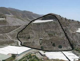 Finca rústica  Paraje pago del cautor, sitios cerro piqueros y haza del poz nº. Solvia inmobiliaria  suelo otros polopos