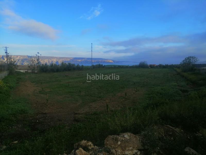 Foto 8fd89e7b-6488-43da-ac94-1f27abe99208. Finca rústica solvia inmobiliaria suelo otros en Benalúa