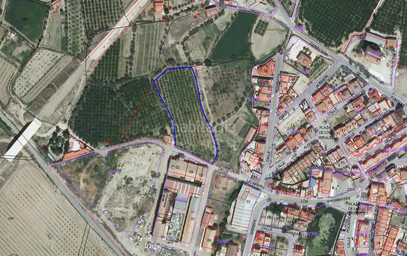 Foto bd870ae0-ef1b-4b1e-97a3-b41365ed6700. Finca rústica solvia inmobiliaria suelo otros en Benalúa