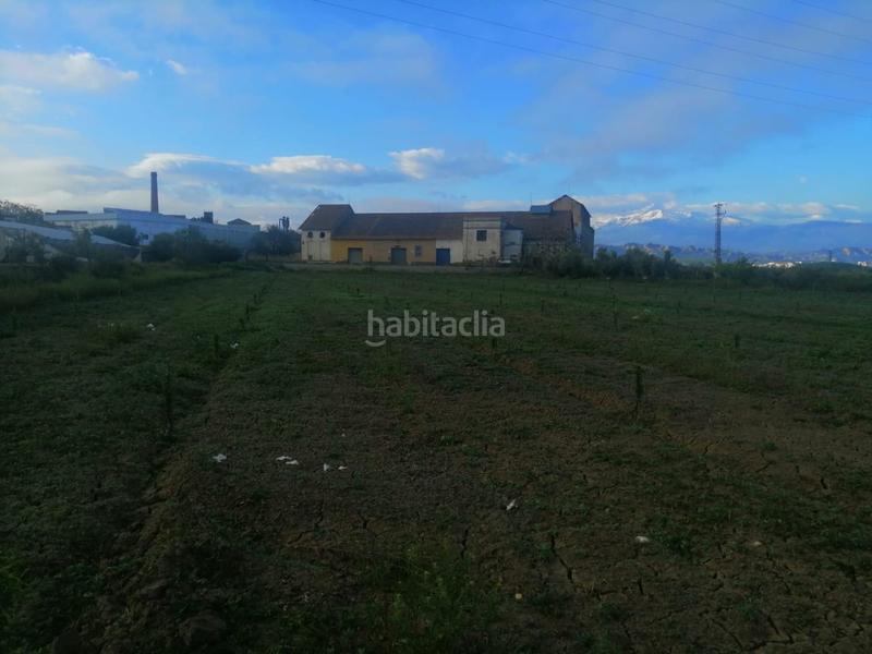 Foto f439eb79-ca1d-4ff4-ae50-48192212d959. Finca rústica solvia inmobiliaria suelo otros en Benalúa