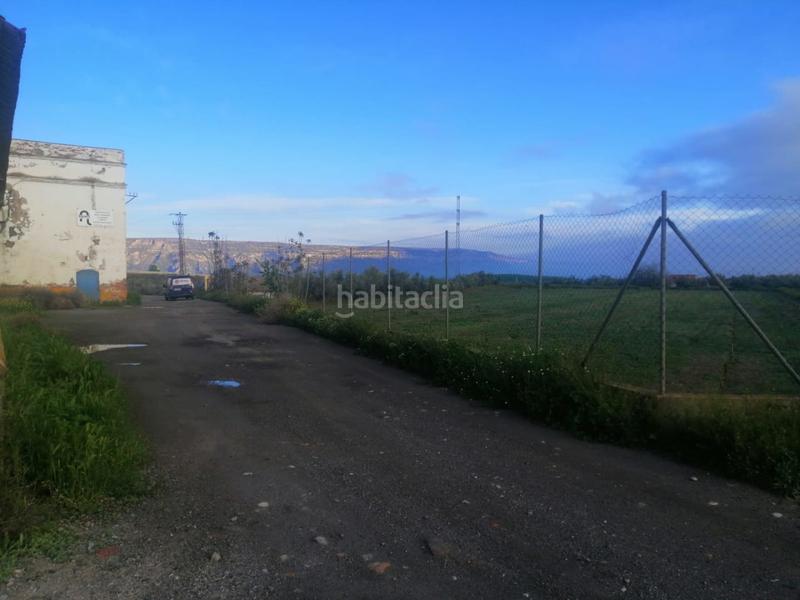 Foto fbe05ed0-925f-450f-9956-dc712a2a01d9. Finca rústica solvia inmobiliaria suelo otros en Benalúa