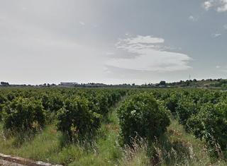 Finca rústica  Partida plantel del conde nº 95. Solvia inmobiliaria  suelo otros llíria