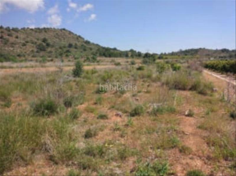 Foto 7e6d6eac-ce90-4bd8-a3f1-cd4b1cea815d. Finca rústica solvia inmobiliaria suelo otros en Estivella