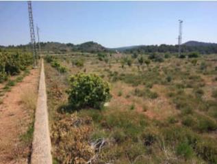 Finca rústica  Pj collado nº 6. Solvia inmobiliaria  suelo otros estivella