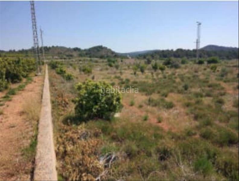 Foto ce572fca-4e84-47e1-8af1-efc39482ebe4. Finca rústica solvia inmobiliaria suelo otros en Estivella