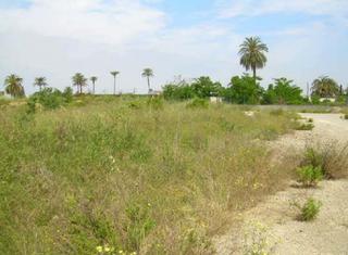 Finca rústica  Nord nº b3. Solvia inmobiliaria  suelo otros carcaixent