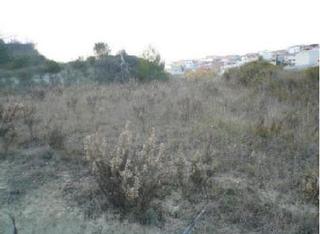 Finca rústica  Sector 4 nº poligono16 parc.. Solvia inmobiliaria  suelo otros llutxent