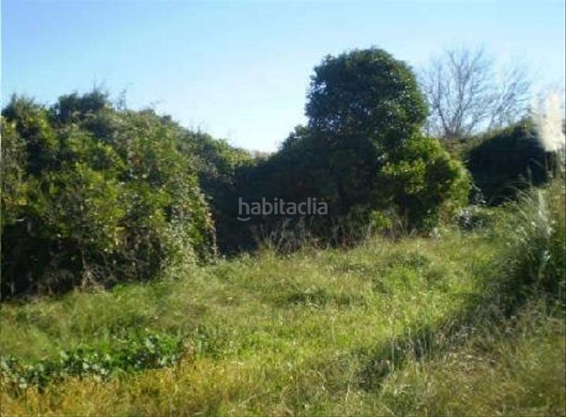 Foto 0a0b8541-e46c-42b1-9553-99a99028ac9a. Finca rústica solvia inmobiliaria suelo otros en Sueca