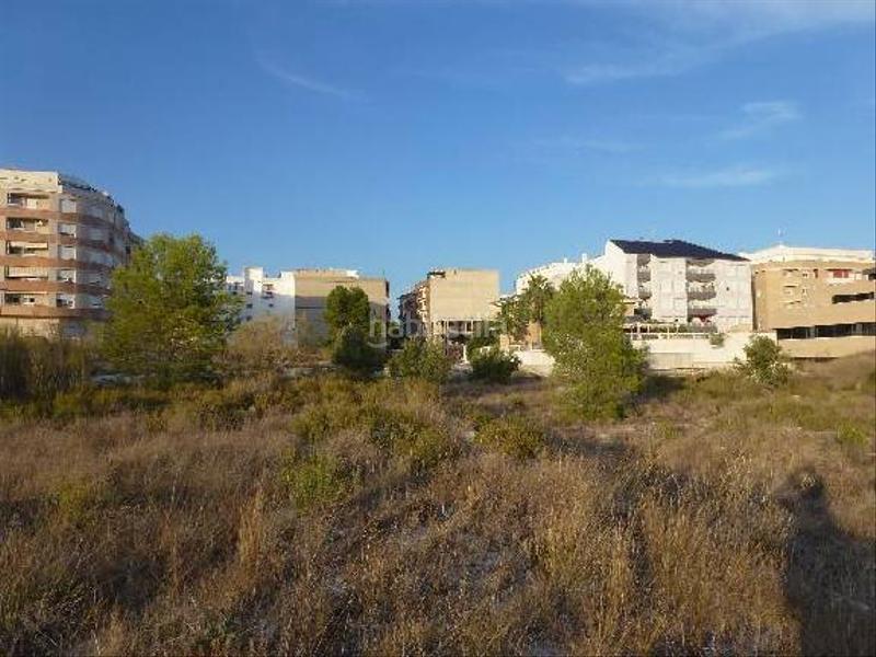 Foto 7077a654-0c85-4195-abb2-73381b0318b8. Fondo rustico in Olleria (l´)