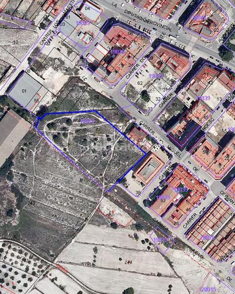 Foto b0814ec7-a70d-47f6-adca-33e5f569f005. Fondo rustico in Olleria (l´)