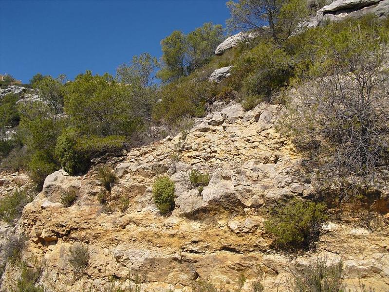 Foto 383a2a56-643a-4463-9368-2ef6fe0874c1. Rural plot in Alcossebre