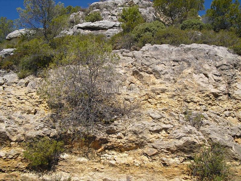 Foto 85dd25fa-ab7b-4e05-a368-d68d26be1cc5. Rural plot in Alcossebre