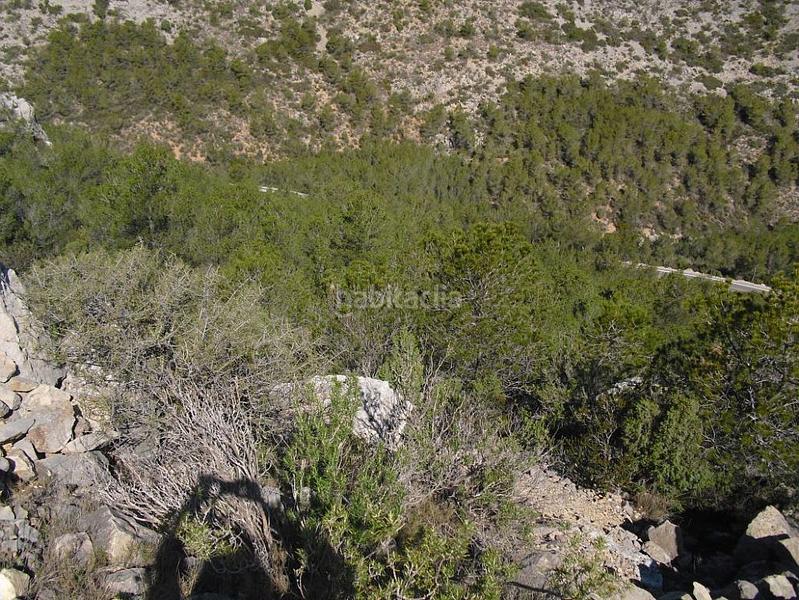 Foto 8403b7e7-506c-4927-9130-68f9769289a4. Propriété dans Alcossebre