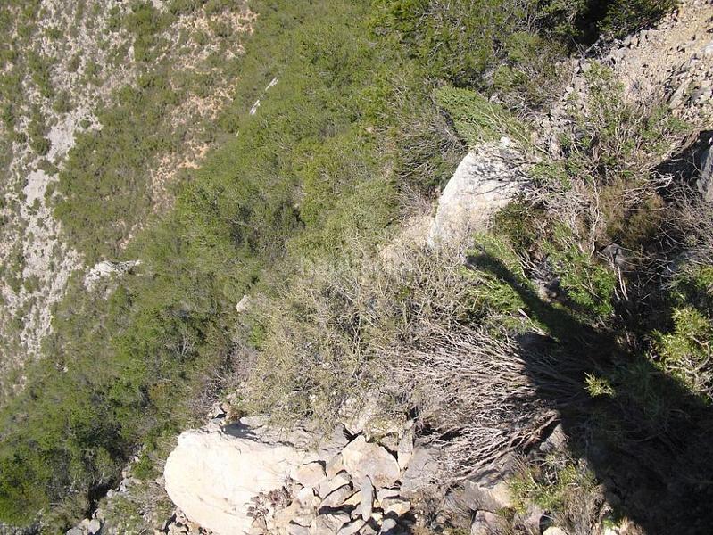 Foto b53fe33a-ff5c-4879-9b8c-ec5d67005354. Propriété dans Alcossebre