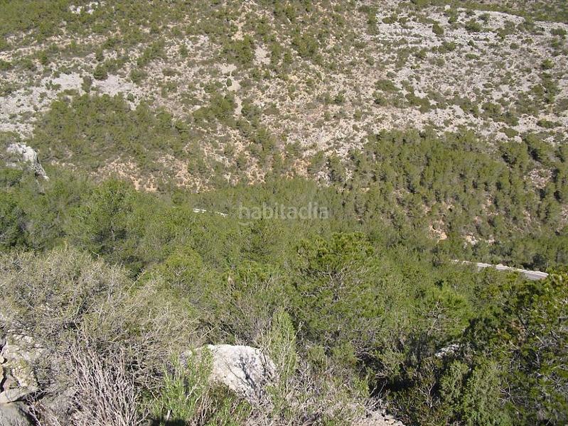 Foto eff0c38b-32b3-40ce-a9a1-1c34a4d609dd. Propriété dans Alcossebre