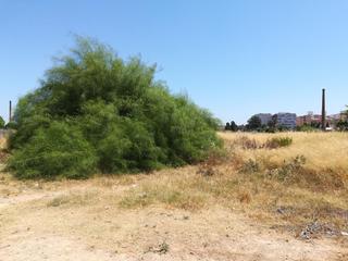 Finca rústica  Sector a, poligono 24 nº sn 4c. Solvia inmobiliaria  suelo otros aldaia