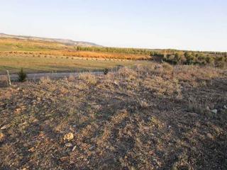 Finca rústica  Parcela resultante i-16 nº ppa 12. Solvia inmobiliaria  suelo otros calatayud