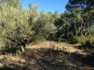 Finca rústica  Pr agua amarga. Solvia inmobiliaria  terreno con edificación segorbe