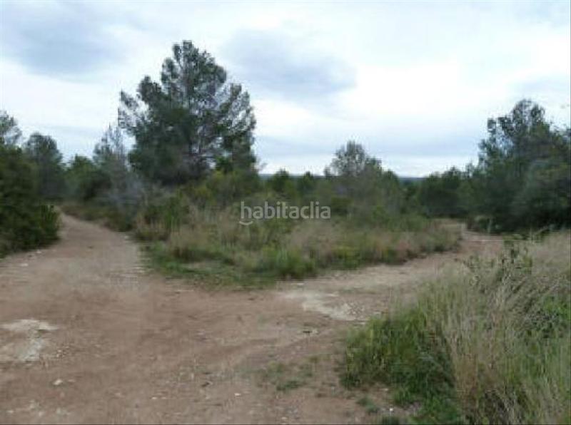 Foto 0e7b7547-598e-4391-a959-e854c01f7cfc. Finca rústica a Altafulla