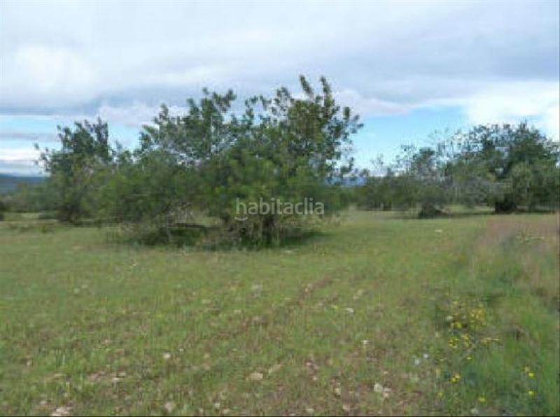Foto 29c3efd1-8bcd-44e9-b9b1-ea7361f53d79. Finca rústica a Altafulla