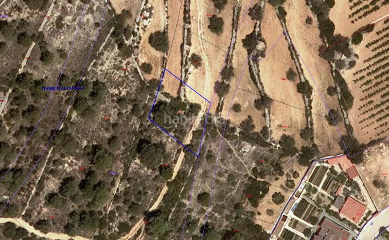 Foto 68522946-7850-4441-8537-cc35a347a321. Finca rústica a Altafulla