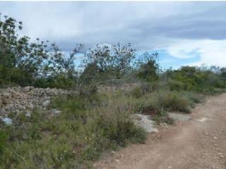 Rural plot  Cl sur nº 10 parce. Solvia inmobiliaria  suelo otros altafulla